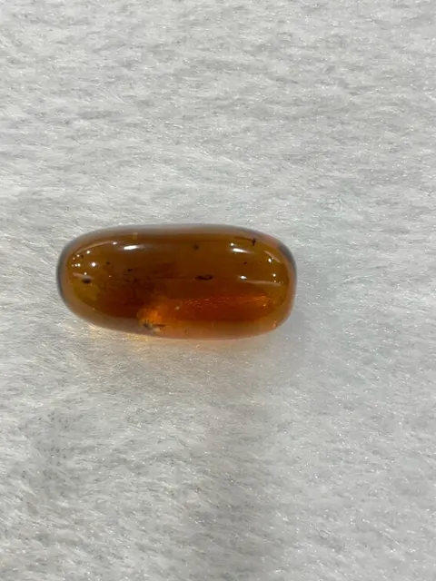 棕色調琥珀・隨形弧面琢型 AMB-L-0-00107