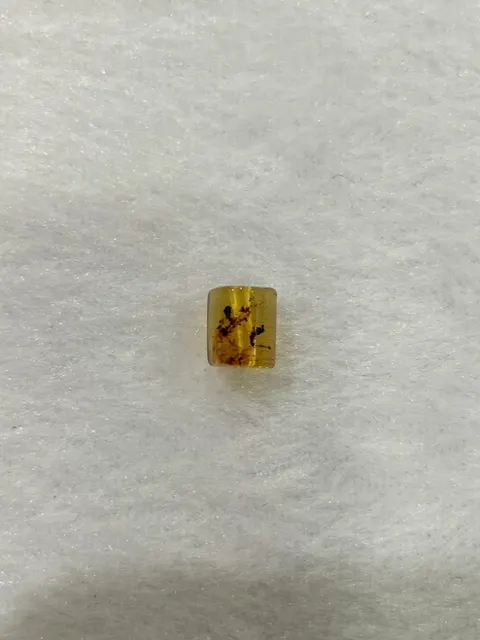 黃色調琥珀・桶珠 AMB-A-0-00012
