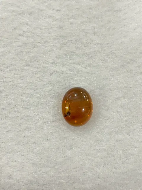 棕色調琥珀・橢圓弧面 AMB-L-0-00263