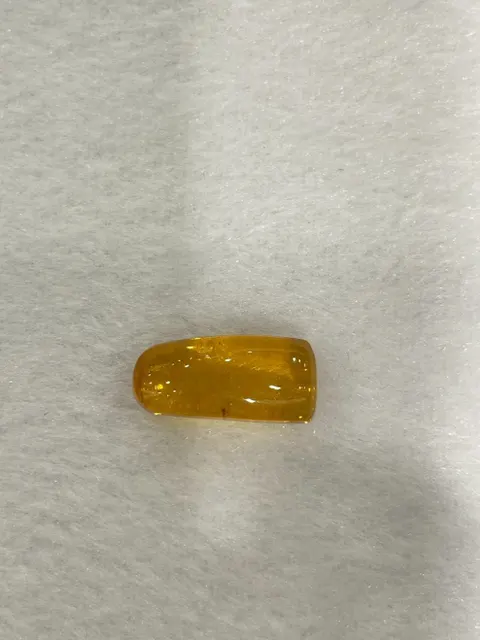 黃棕色調琥珀・隨形弧面 AMB-L-0-00182