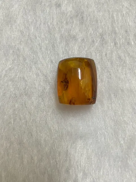 黃棕色調琥珀・矩形弧面 AMB-L-0-00201