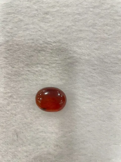 紅棕色琥珀・橢圓弧面琢型 AMB-L-0-00086