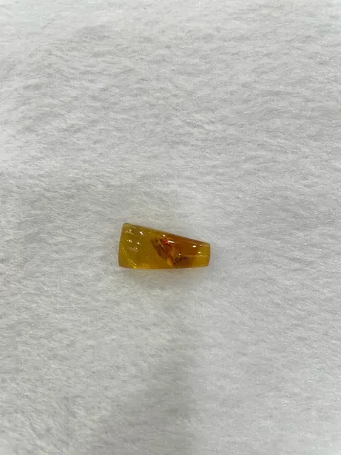 黃色調琥珀・隨形弧面琢型 AMB-L-0-00083