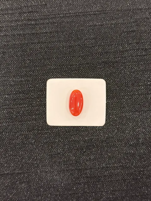 紅色珊瑚・橢圓弧面琢型 COA-L0-00105