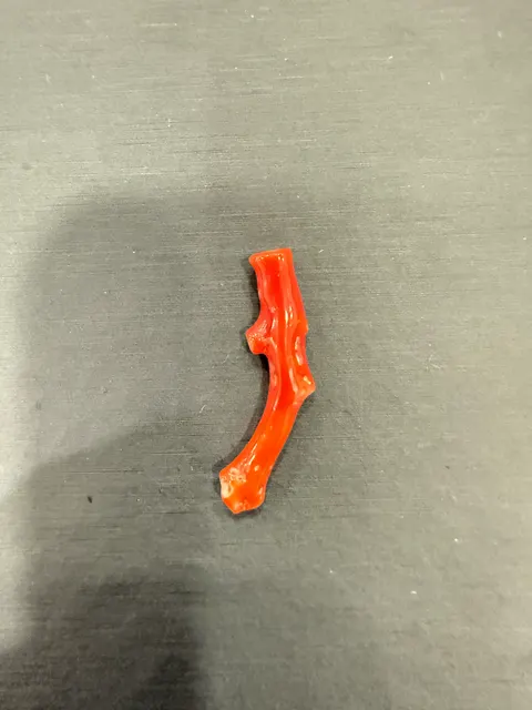 紅色珊瑚・珊瑚枝 COA-L0-00017