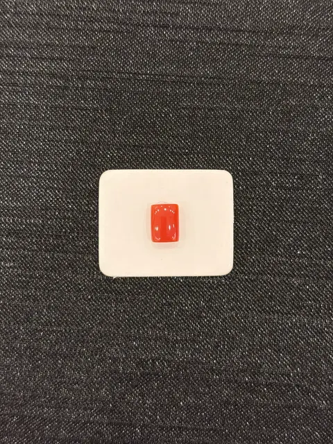紅色珊瑚・長方弧面琢型 COA-L0-00106