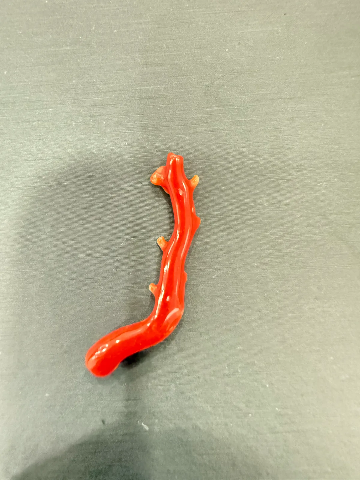 紅色珊瑚・珊瑚枝 COA-L0-00010