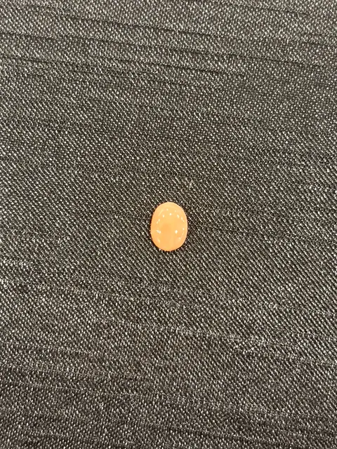 粉紅色珊瑚・橢圓弧面琢型 COA-L0-00074