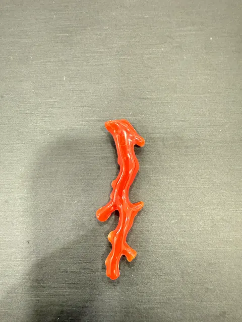 紅色珊瑚・珊瑚枝 COA-L0-00019