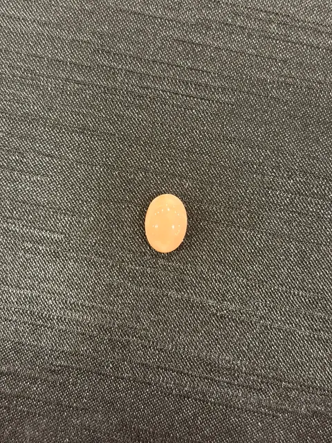 粉紅色珊瑚・橢圓弧面琢型 COA-L0-00062