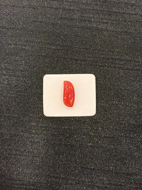 紅色珊瑚・隨形弧面琢型 COA-L0-00125