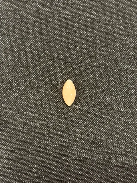 粉紅色珊瑚・馬眼弧面琢型 COA-L0-00081