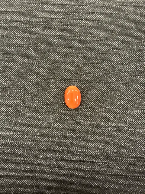 紅色珊瑚・橢圓弧面琢型 COA-L0-00063