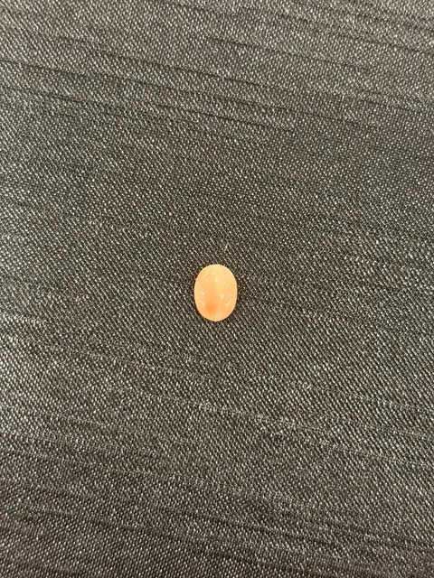 粉紅色珊瑚・橢圓弧面琢型 COA-L0-00078