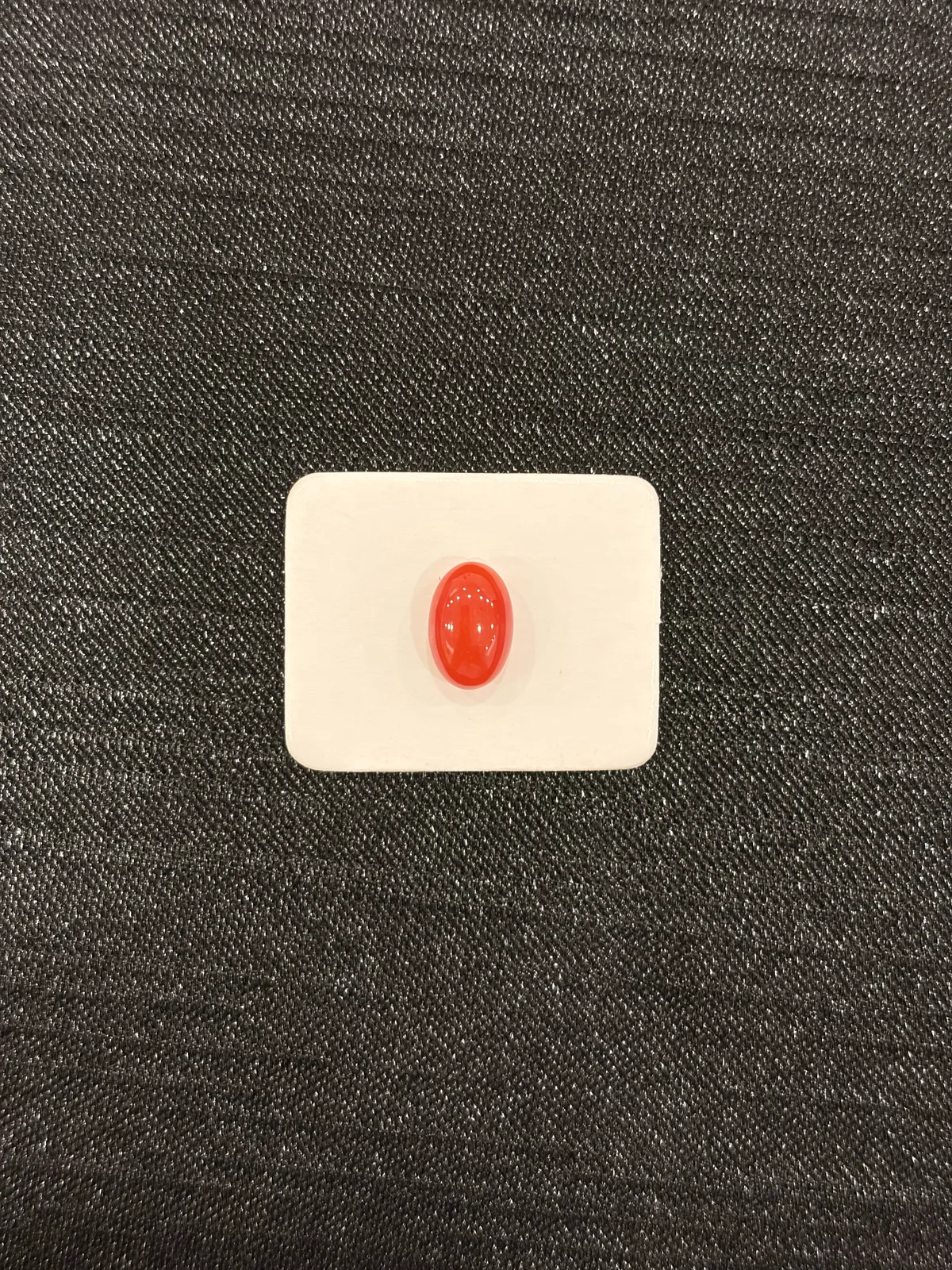 紅色珊瑚・橢圓弧面琢型 COA-L0-00102