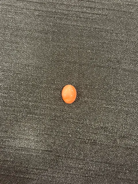 粉紅色珊瑚・橢圓弧面琢型 COA-L0-00058