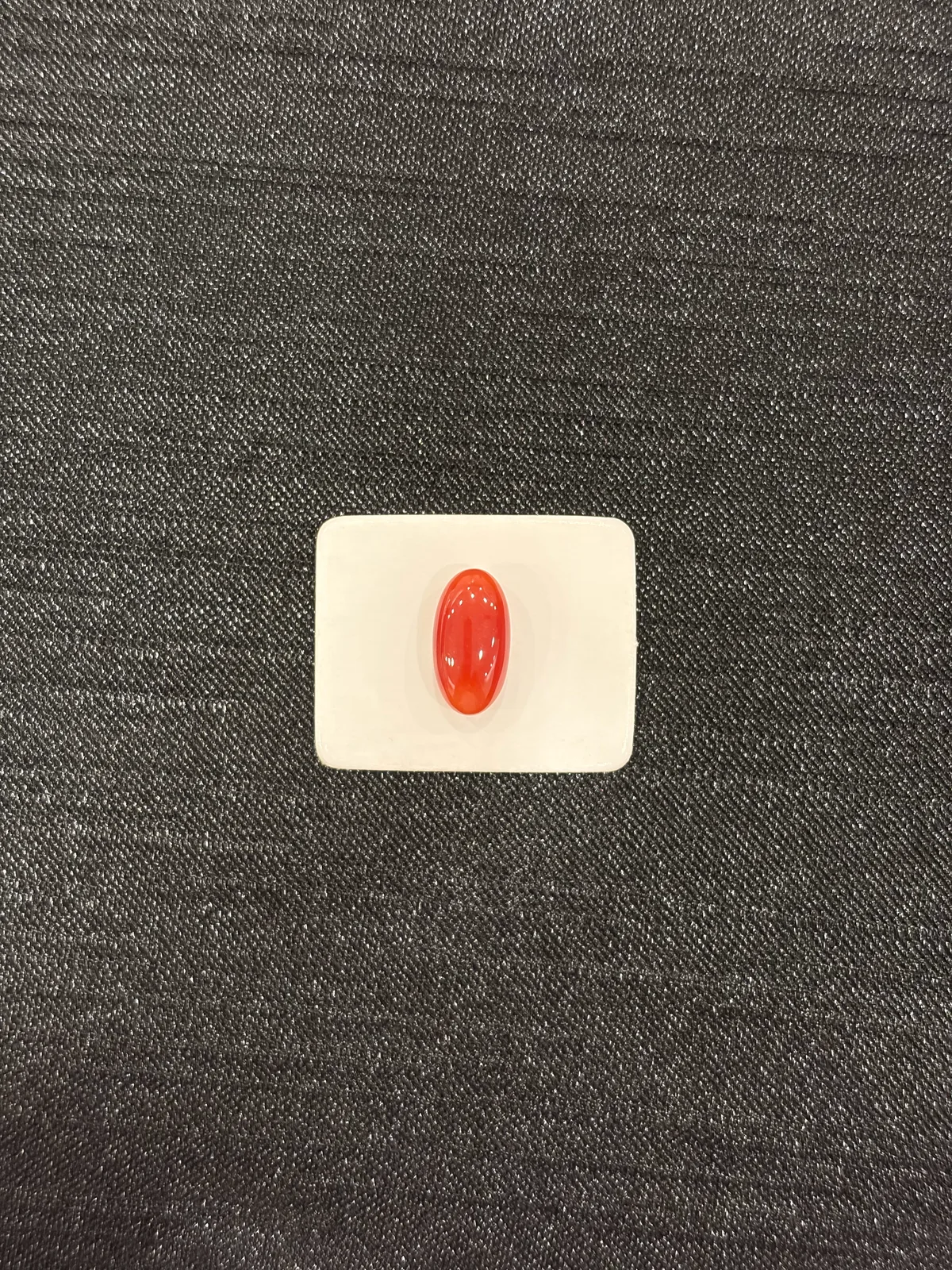 紅色珊瑚・橢圓弧面琢型 COA-L0-00087