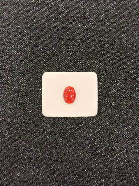 紅色珊瑚・橢圓弧面琢型 COA-L0-00095