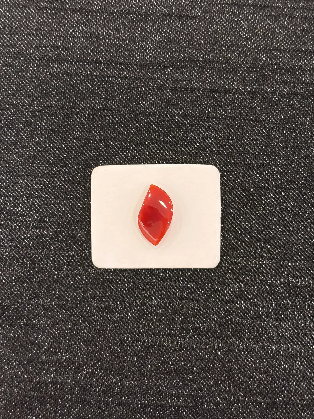 紅色珊瑚・隨形弧面琢型 COA-L0-00118