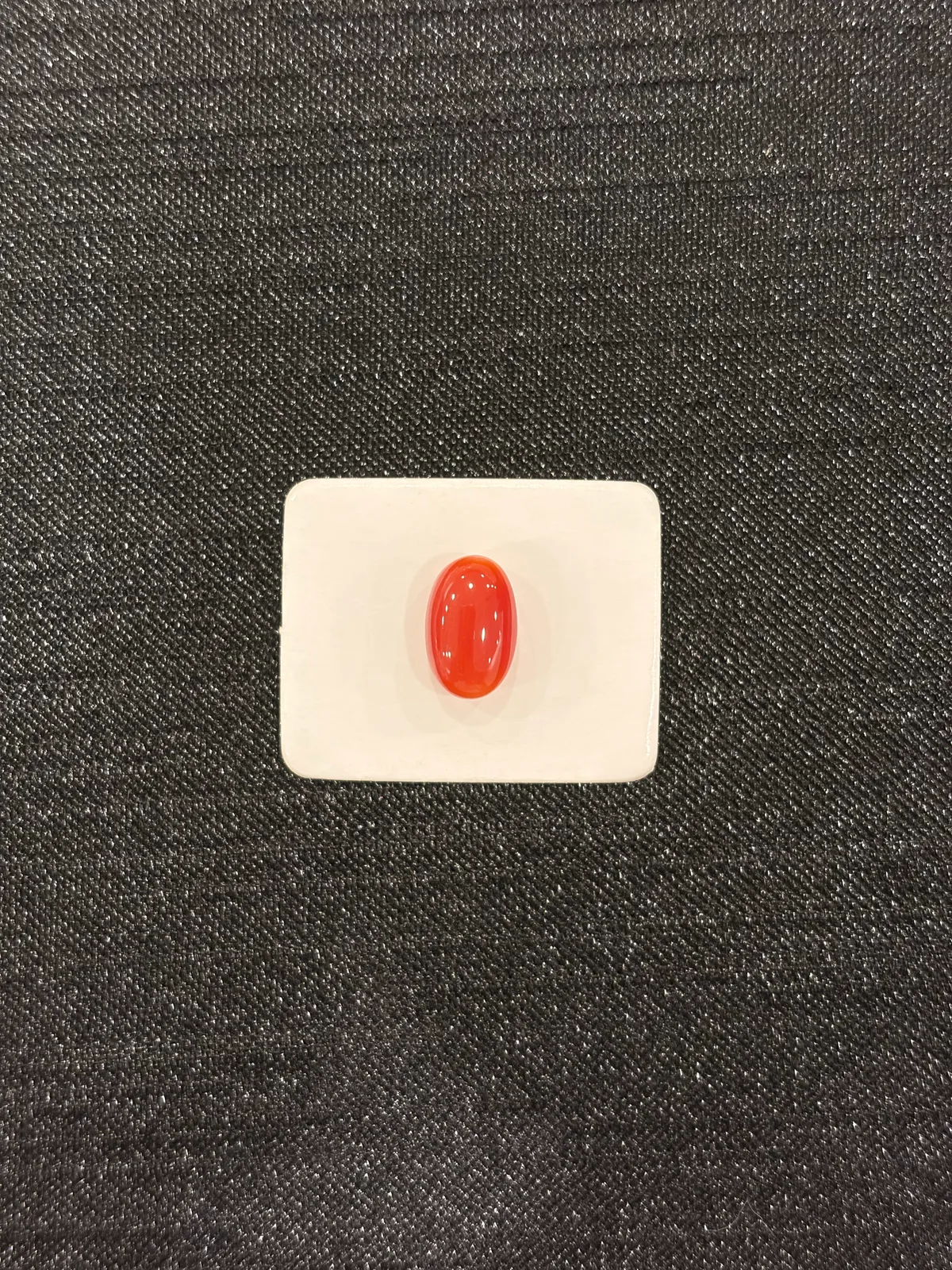 紅色珊瑚・橢圓弧面琢型 COA-L0-00096