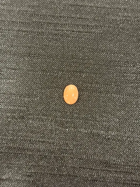粉紅色珊瑚・橢圓弧面琢型 COA-L0-00070