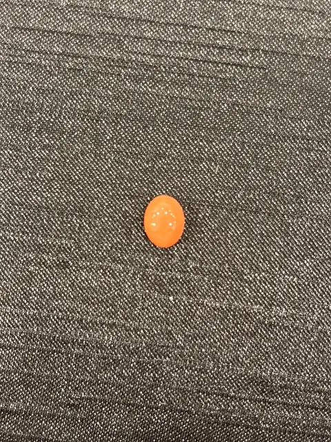 橘紅色珊瑚・橢圓弧面琢型 COA-L0-00069
