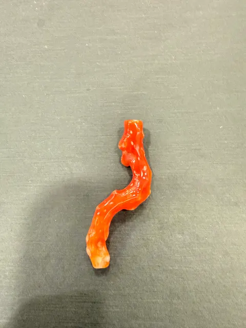 紅色珊瑚・珊瑚枝 COA-L0-00020