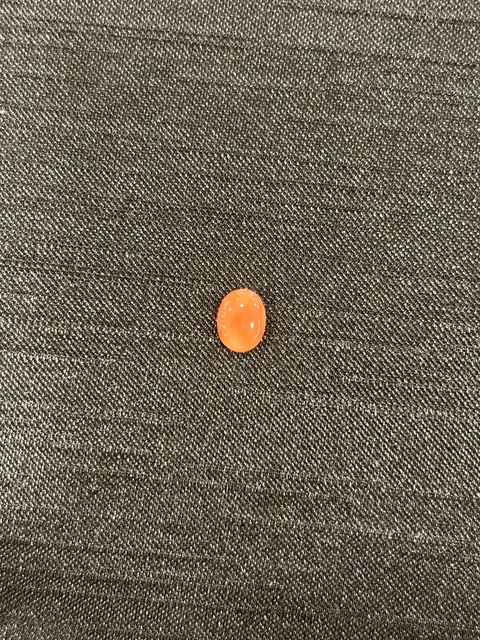 紅色珊瑚・橢圓弧面琢型 COA-L0-00053