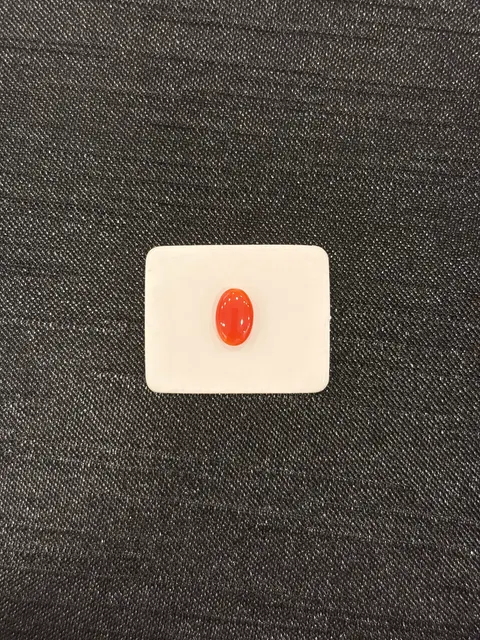 紅色珊瑚・橢圓弧面琢型 COA-L0-00100