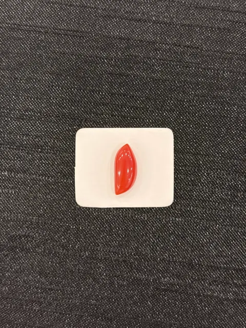 紅色珊瑚・隨形弧面琢型 COA-L0-00121