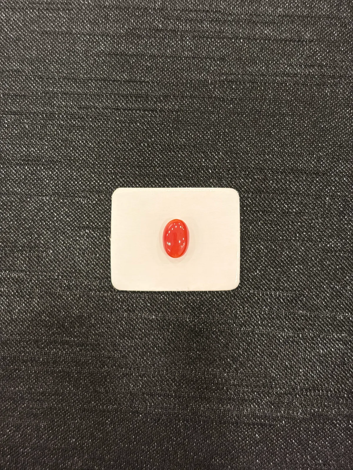 紅色珊瑚・橢圓弧面琢型 COA-L0-00094