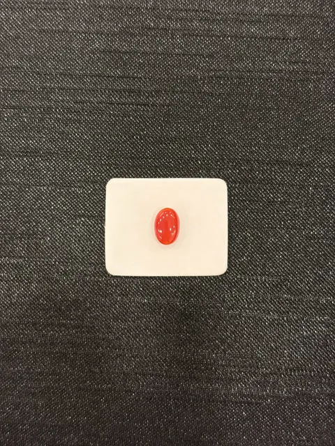 紅色珊瑚・橢圓弧面琢型 COA-L0-00094