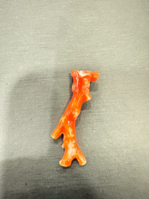 紅色珊瑚・珊瑚枝 COA-L0-00012