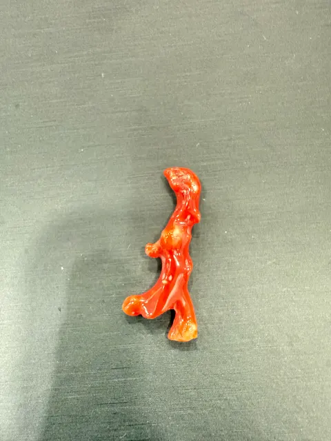 紅色珊瑚・珊瑚枝 COA-L0-00013