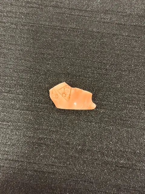 粉紅色珊瑚・珊瑚枝 COA-L0-00047