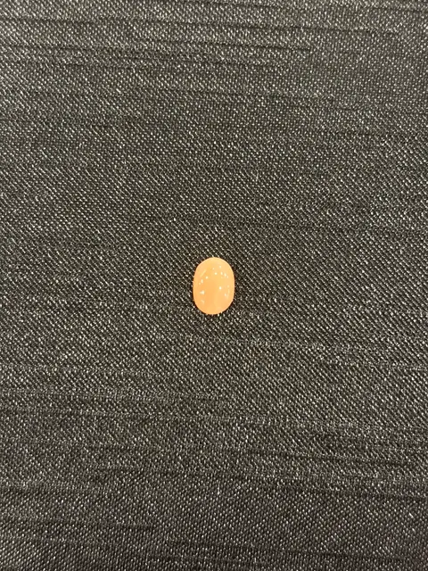 粉紅色珊瑚・橢圓弧面琢型 COA-L0-00077