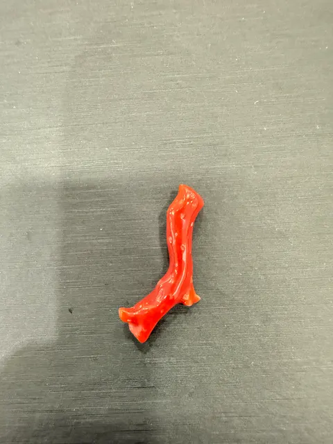 紅色珊瑚・珊瑚枝 COA-L0-00014