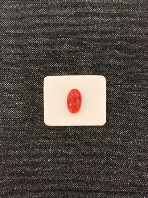紅色珊瑚・橢圓弧面琢型 COA-L0-00099