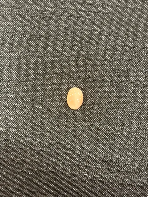 粉紅色珊瑚・橢圓弧面琢型 COA-L0-00067