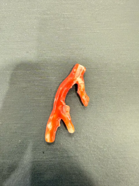 紅色珊瑚・珊瑚枝 COA-L0-00011