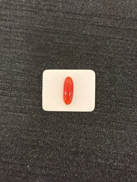 紅色珊瑚・橢圓弧面琢型 COA-L0-00089