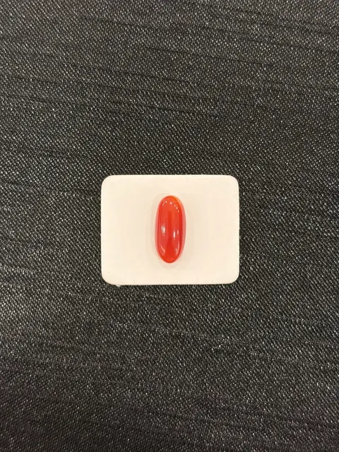 紅色珊瑚・橢圓弧面琢型 COA-L0-00097