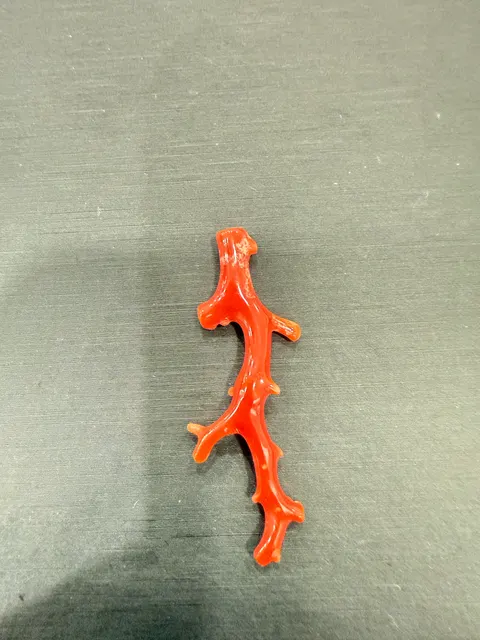 紅色珊瑚・珊瑚枝 COA-L0-00015