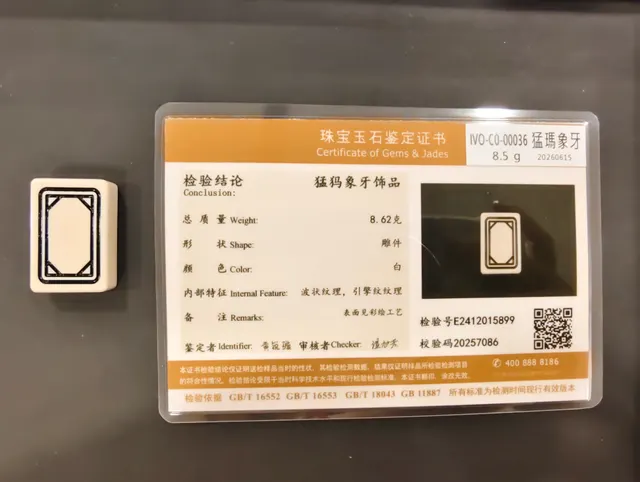 猛瑪象牙・雕件 IVO-C0-00036