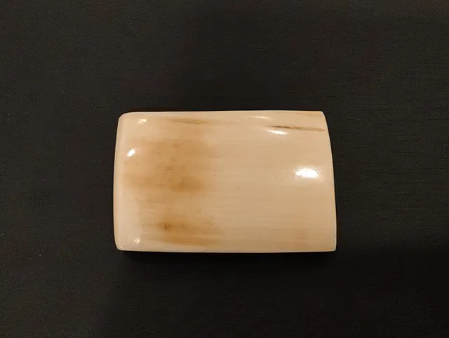 黃白色猛瑪象牙・牌子 IVO-L0-00096