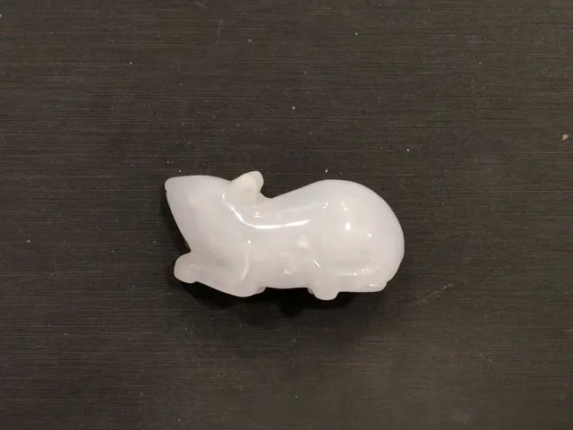 翡翠 JAD-P-0-000243