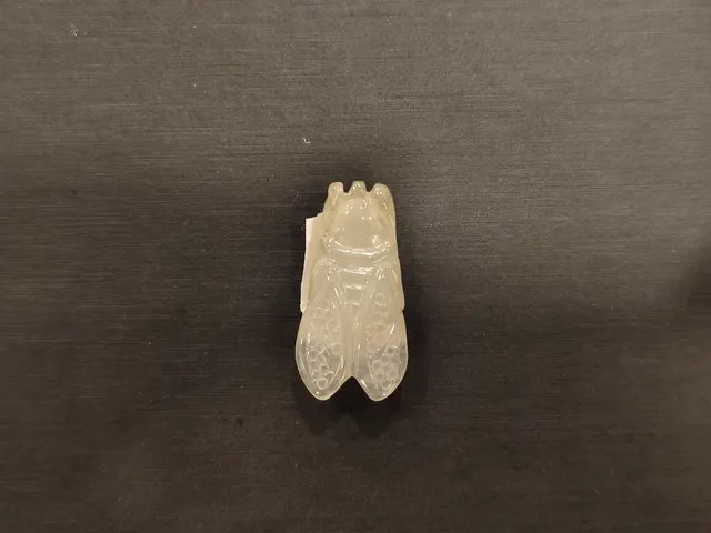 翡翠 JAD-P-0-000802